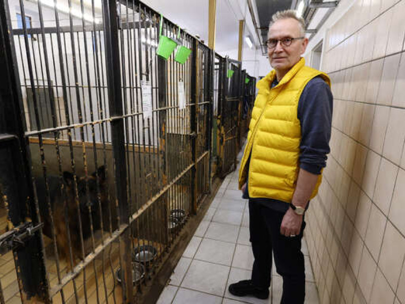 Die Zwinger sind "viel zu klein und vom Veterinärsamt nur noch geduldet werden", sagt Hans-Peter Glauner, Vorsitzender des Tierschutzvereins Kehl-Hanauerland